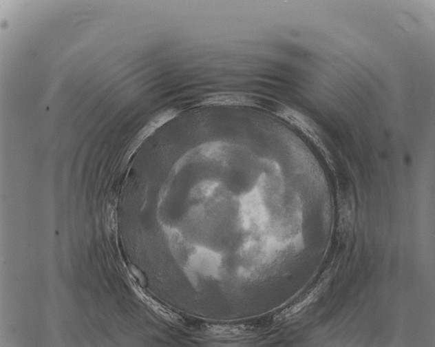 X0000066521049200603311749