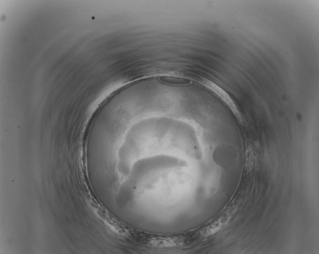 X0000066521051200603311749