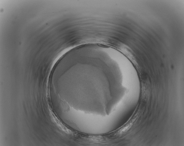 X0000066521052200603311749