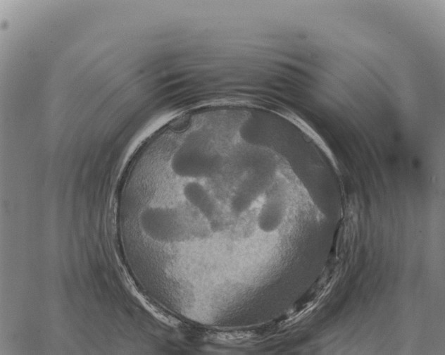 X0000066521053200603311749