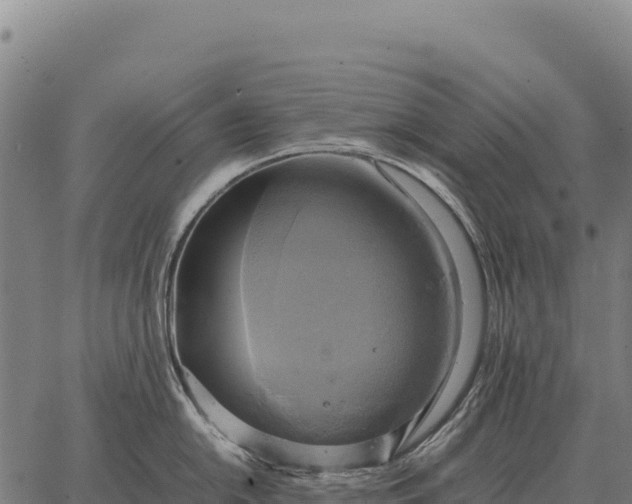 X0000066521054200603311749