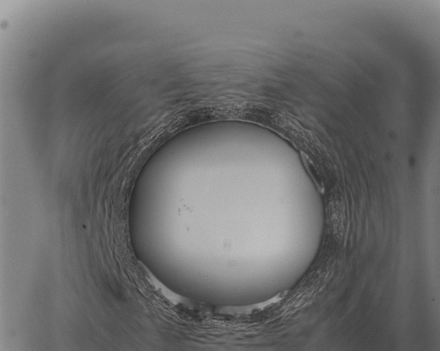 X0000066521057200603311749