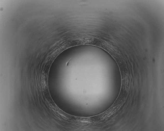 X0000066521058200603311749