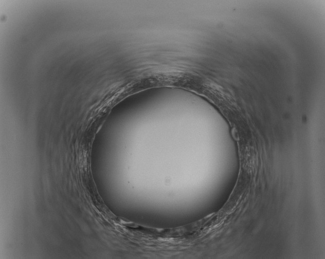 X0000066521061200603311749