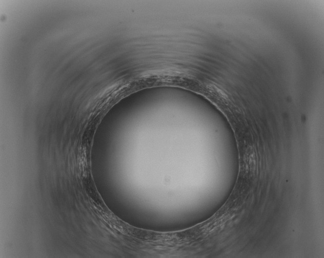 X0000066521062200603311749