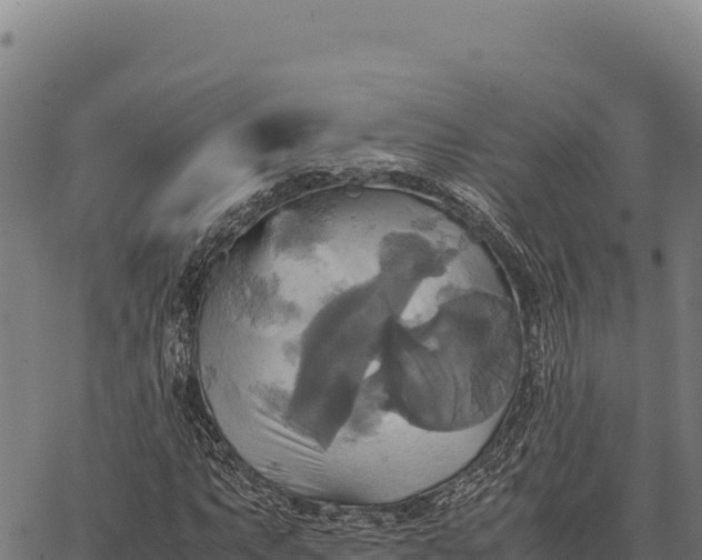 X0000066521063200603311749