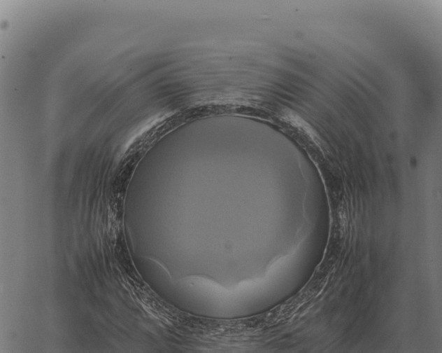 X0000066521064200603311749