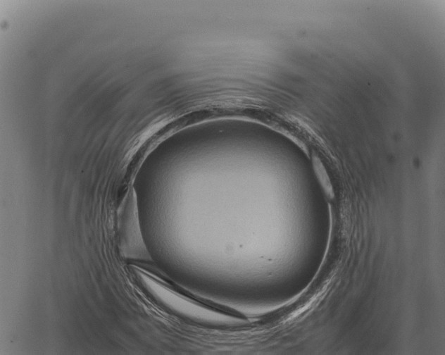 X0000066521065200603311749