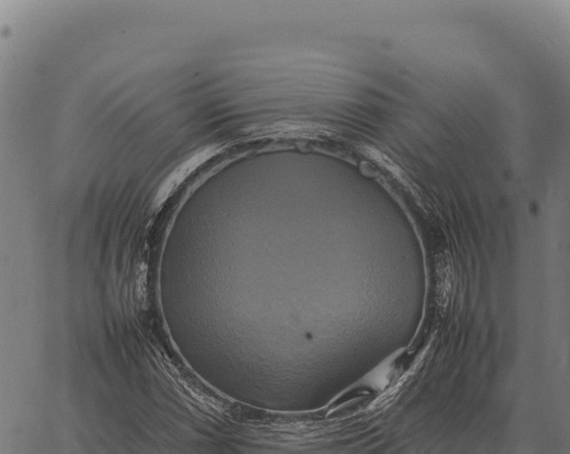 X0000066521066200603311749