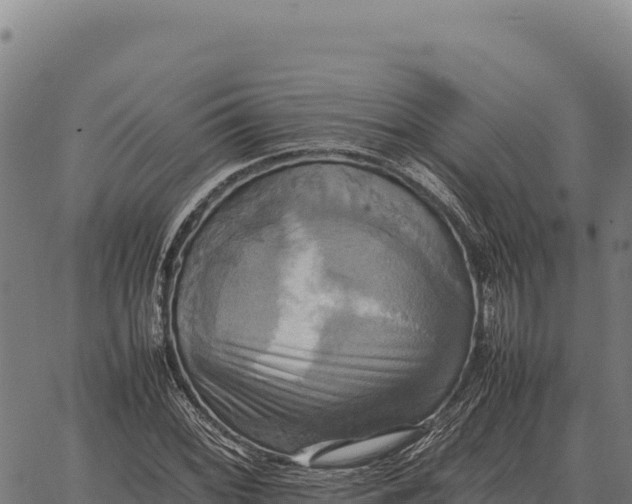 X0000066521068200603311749