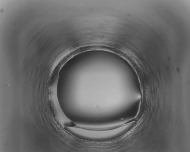 X0000066521069200603311749