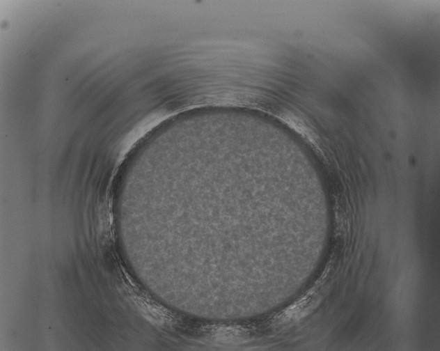 X0000066521070200603311748