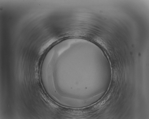 X0000066521071200603311748