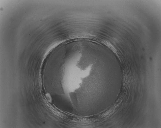 X0000066521072200603311748