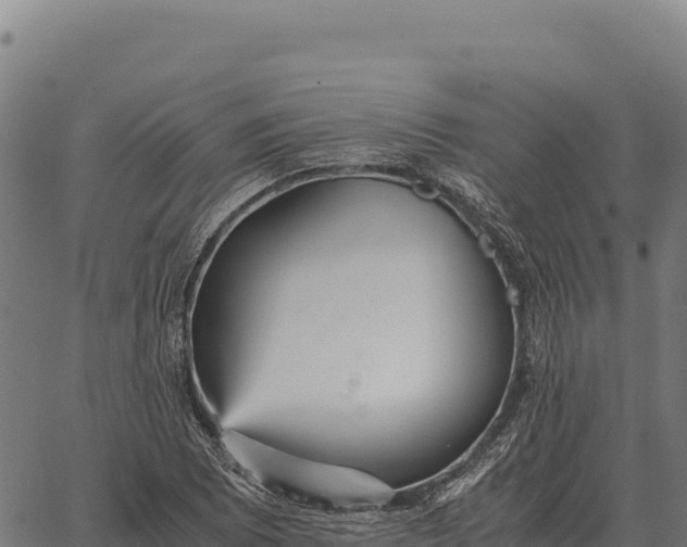 X0000066521073200603311748