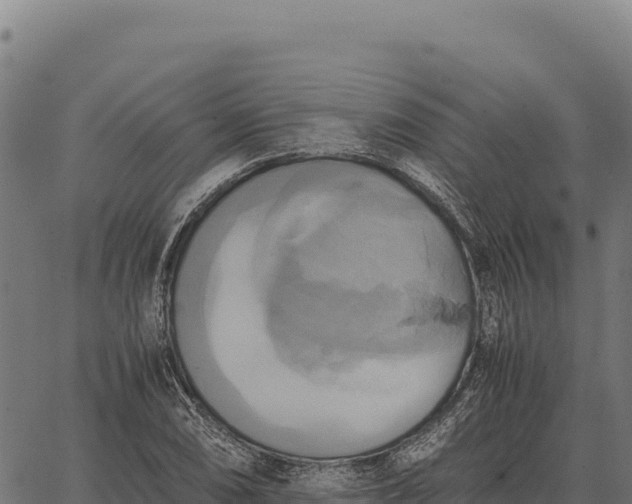 X0000066521074200603311748