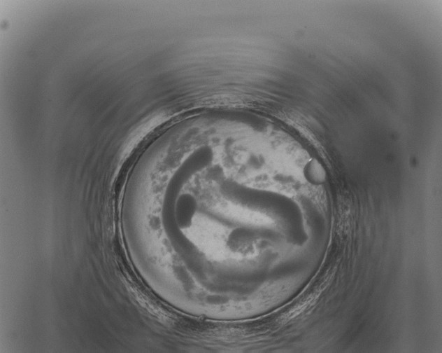 X0000066521075200603311748