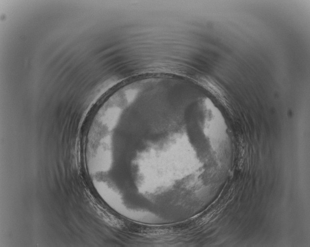 X0000066521076200603311748