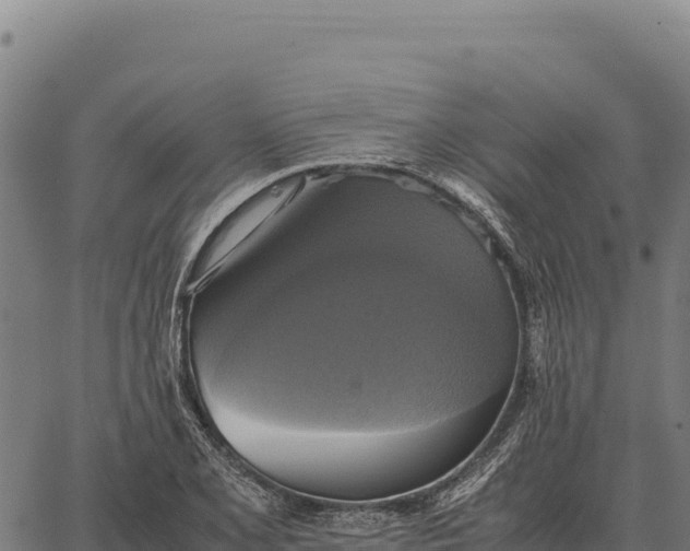 X0000066521077200603311748