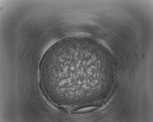 X0000066521079200603311748