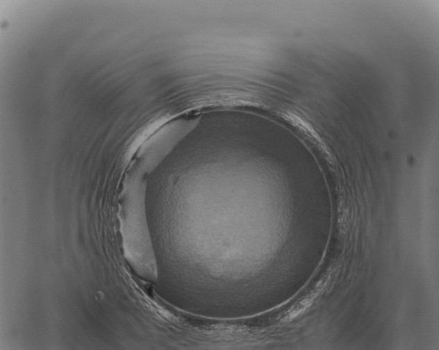 X0000066521081200603311748