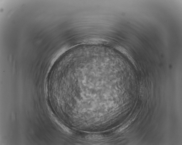 X0000066521083200603311748