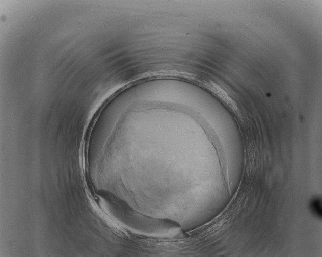 X0000066521084200603311748