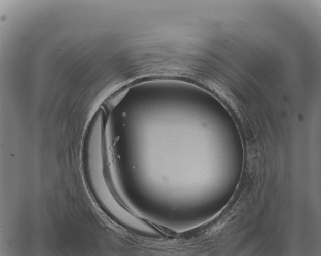 X0000066521085200603311748