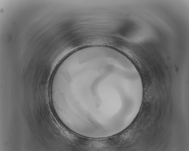 X0000066521086200603311748