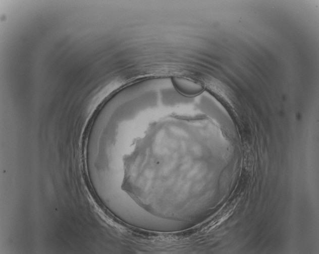 X0000066521087200603311748