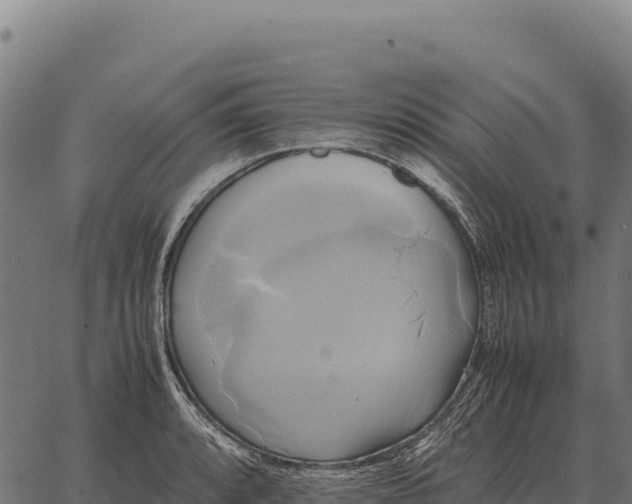 X0000066521088200603311748