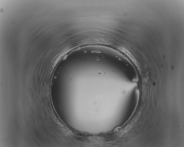 X0000066521089200603311748