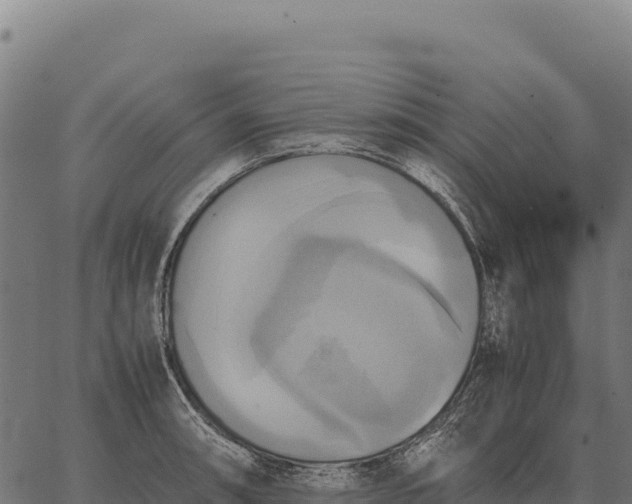 X0000066521090200603311748