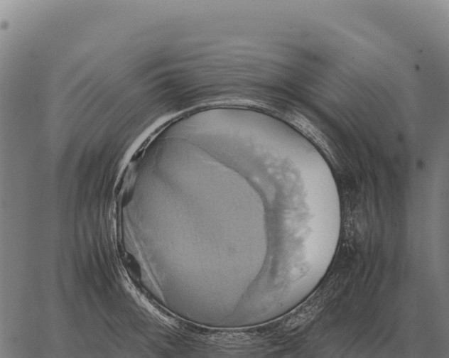 X0000066521092200603311748