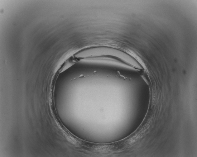 X0000066521093200603311748