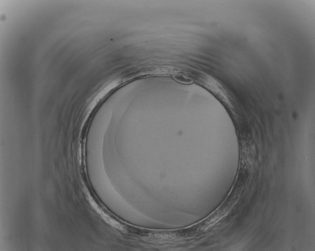 X0000066521095200603311748