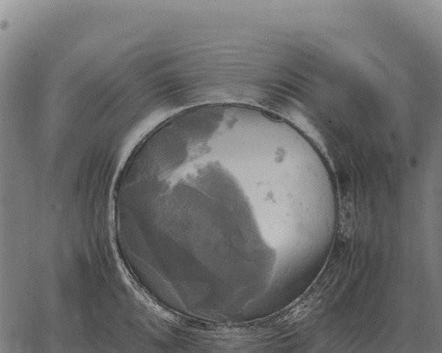 X0000066521096200603311748