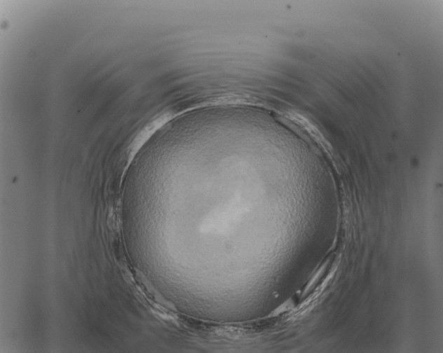 X0000066521097200603311748