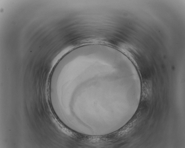 X0000066521098200603311748