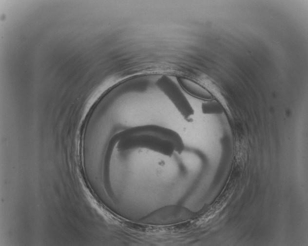 X0000066521099200603311748