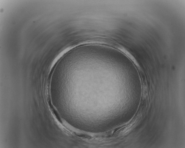 X0000066521101200603311748