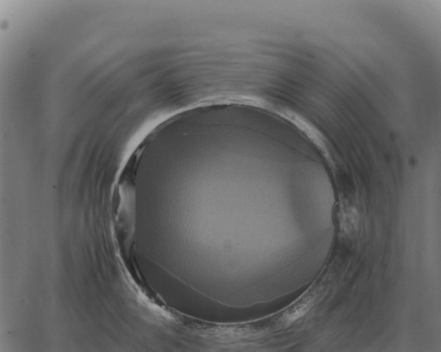 X0000066521102200603311748