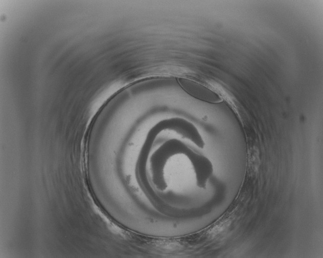 X0000066521103200603311748