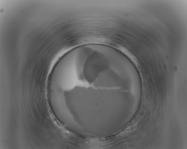 X0000066521104200603311748