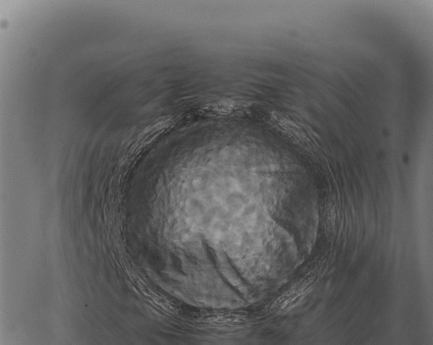 X0000066521105200603311747