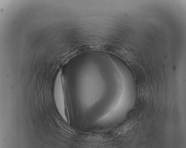 X0000066521106200603311747