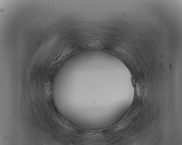 X0000066521107200603311747