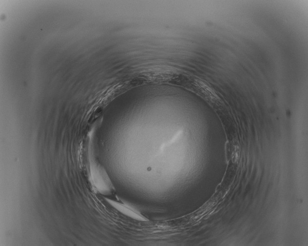 X0000066521108200603311747