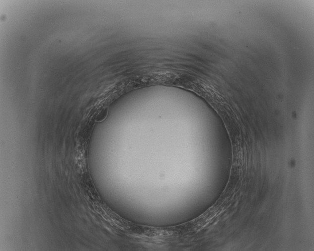 X0000066521109200603311747