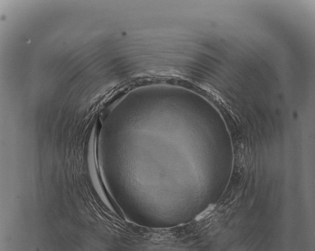 X0000066521110200603311747